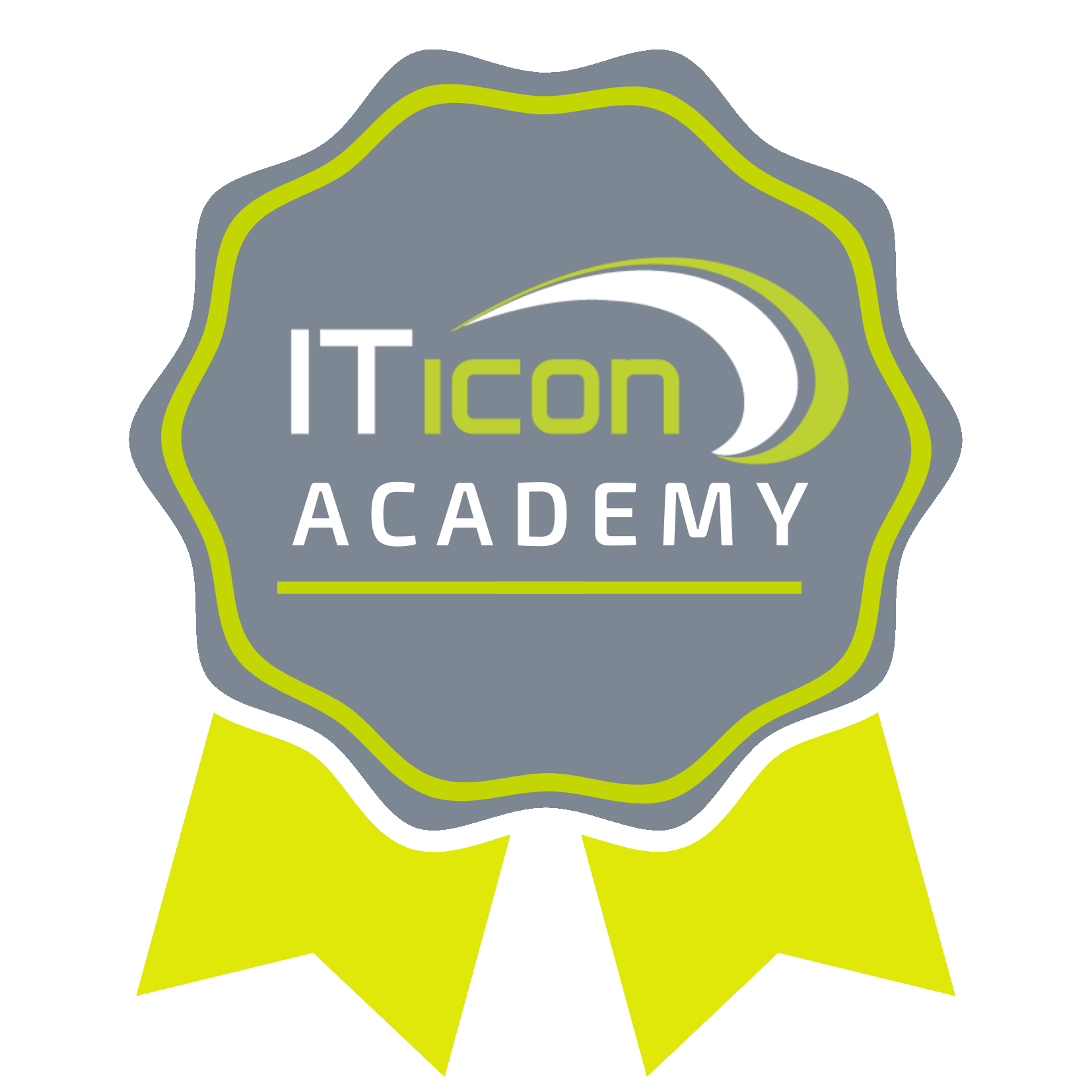 Badge ITicon Academy badge behalen training ITicon Academy